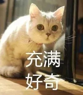 羡慕！东莞这些村“火”了！最多一人发1200，很多人都领到了！