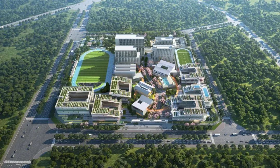 东莞公办学校爆发！新增学位近1.4万个！