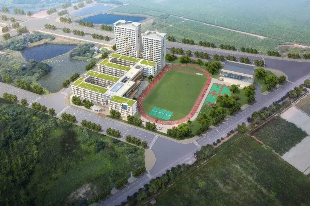 东莞公办学校爆发！新增学位近1.4万个！
