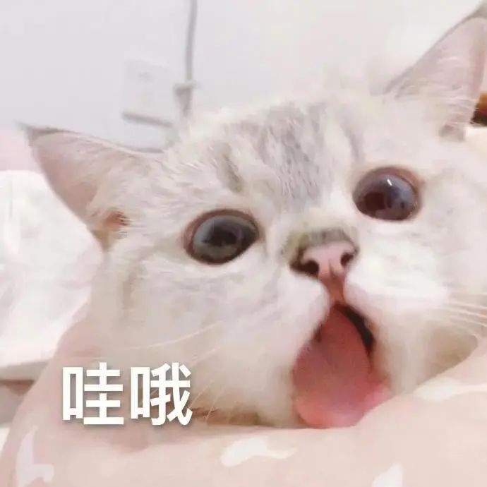 不用调休！这一假期延长，东莞能放多久......