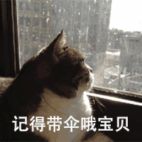 紧急提醒！冰雹+冷空气+雷暴雨今晚杀到！东莞连续8天有雨！