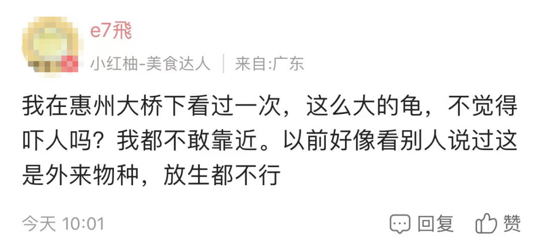 紧急提醒！东莞好多这种骗子出没！不要相信！
