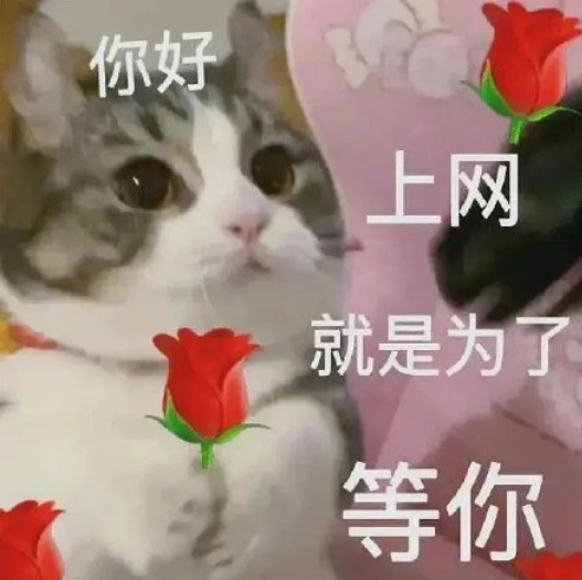 不用调休！这一假期延长，东莞能放多久......