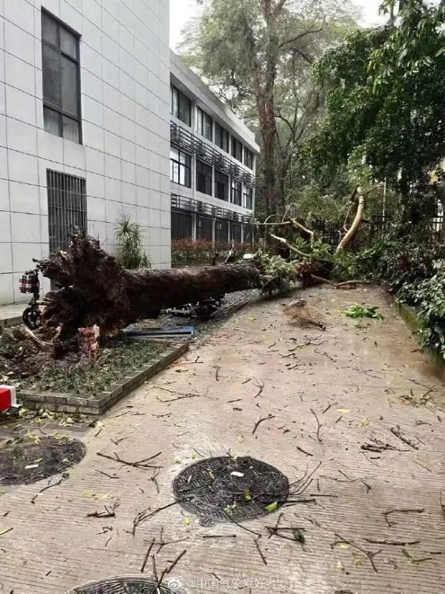 下冰雹了！硬币大小！东莞会下吗？未来几天将.....