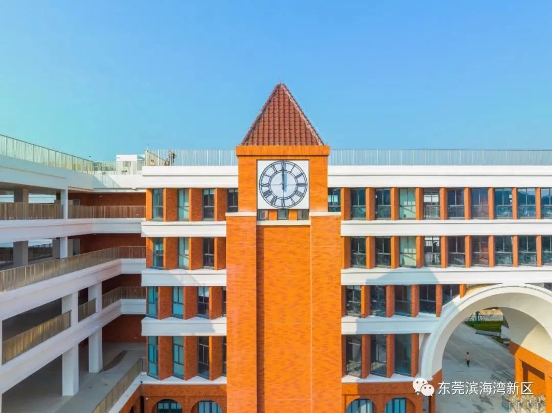 东莞公办学校爆发！新增学位近1.4万个！