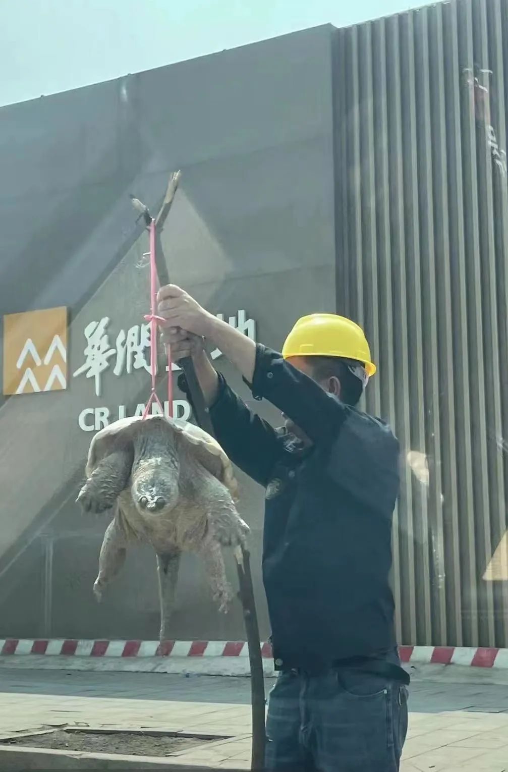 紧急提醒！东莞好多这种骗子出没！不要相信！