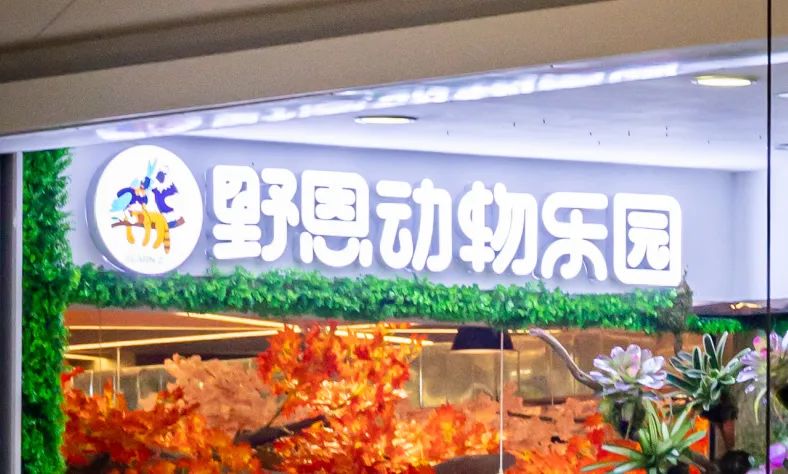 终于来东莞了！现实版的「疯狂动物城」49元秒动物园双人票！