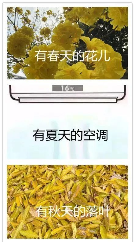 紧急提醒！冰雹+冷空气+雷暴雨今晚杀到！东莞连续8天有雨！