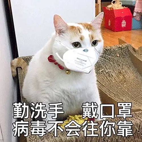 一地宣布: 必要时停工停业停课! 东莞的情况如何?