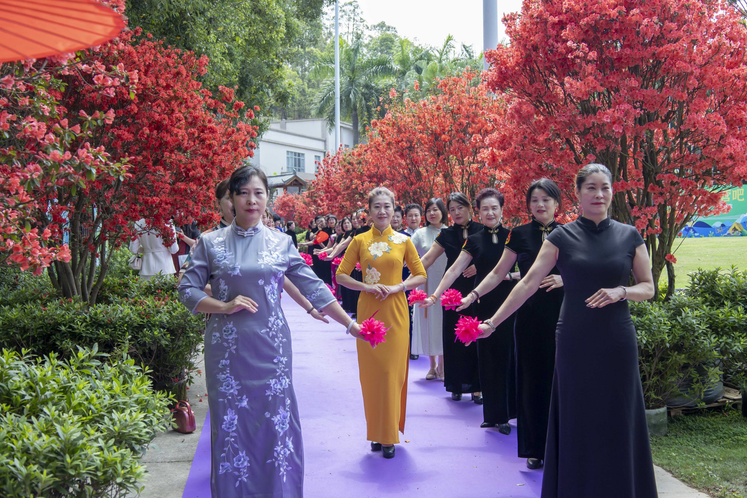 东莞常平镇“首届映山红旅游文化节”在隐贤山庄举办
