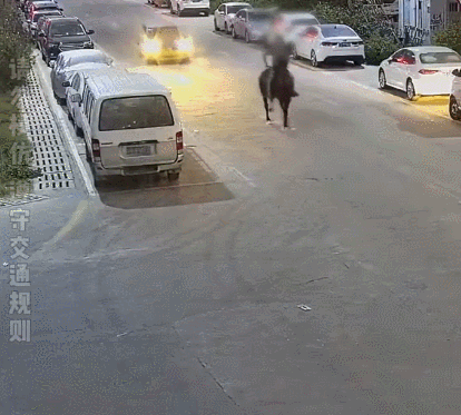 东莞一男子在马路上骑马，直接撞上…