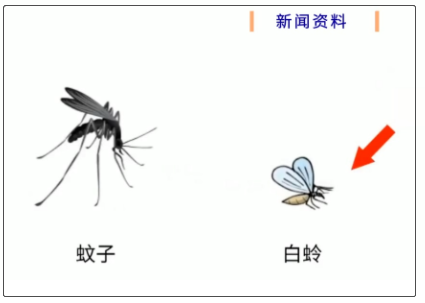 罕见！广东1例确诊病例！东莞人要警惕！