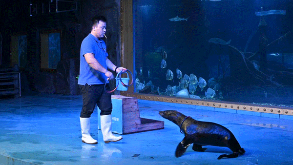 终于等到「东莞海立方」79双人票！10000+㎡上万种海底生物汇聚于此！