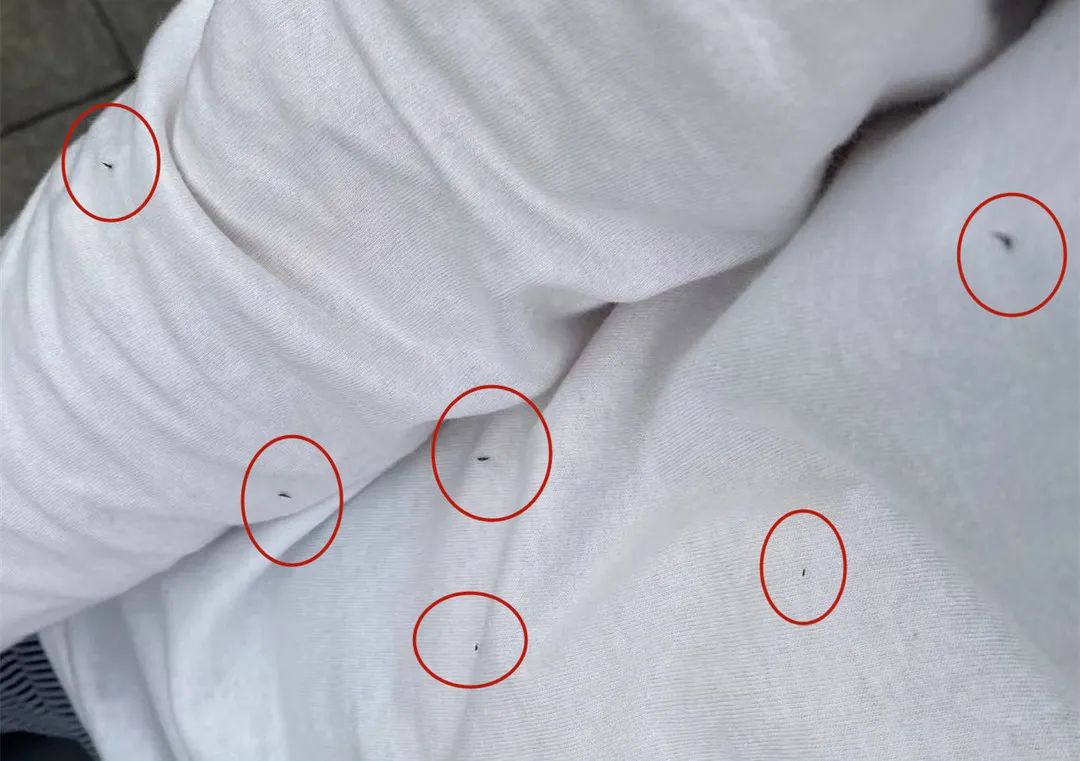 紧急提醒！东莞人不要穿这颜色衣服出门！否则……