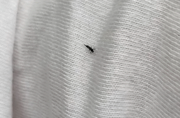 紧急提醒！东莞人不要穿这颜色衣服出门！否则……