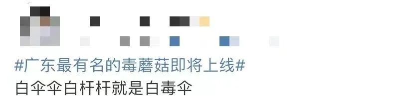 重要提醒！“毒王”即将上线，东莞很常见！