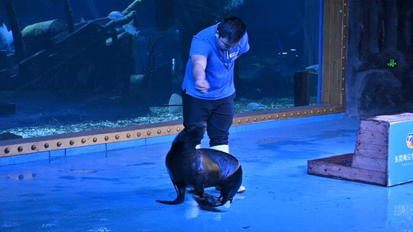 终于等到「东莞海立方」79双人票！10000+㎡上万种海底生物汇聚于此！