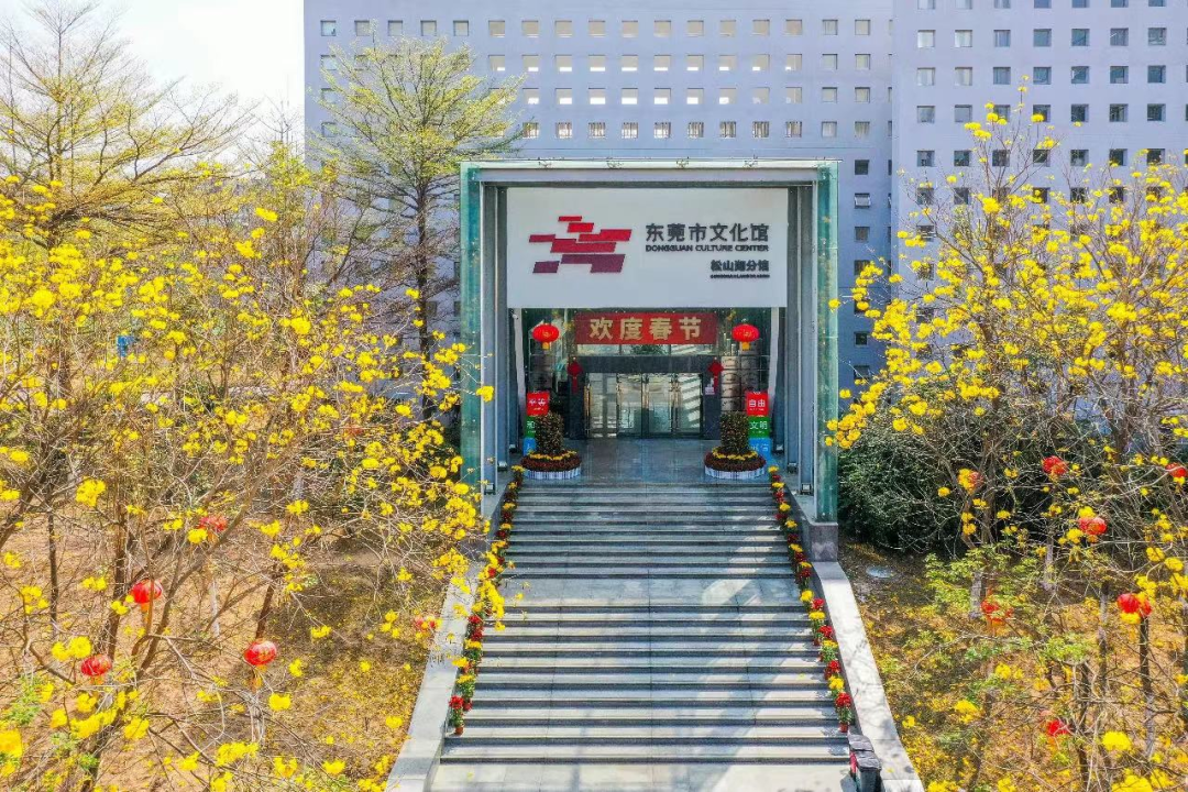 明日，东莞这些场所暂停服务！