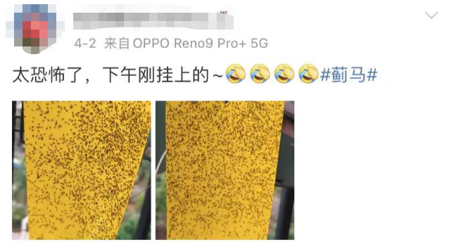 紧急提醒！东莞人不要穿这颜色衣服出门！否则……