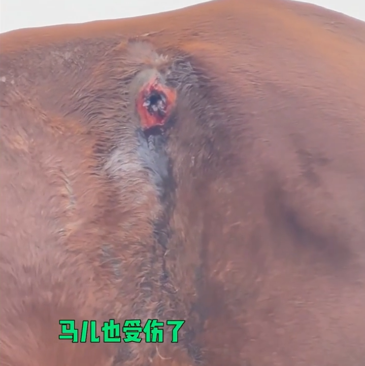 东莞一男子在马路上骑马，直接撞上…