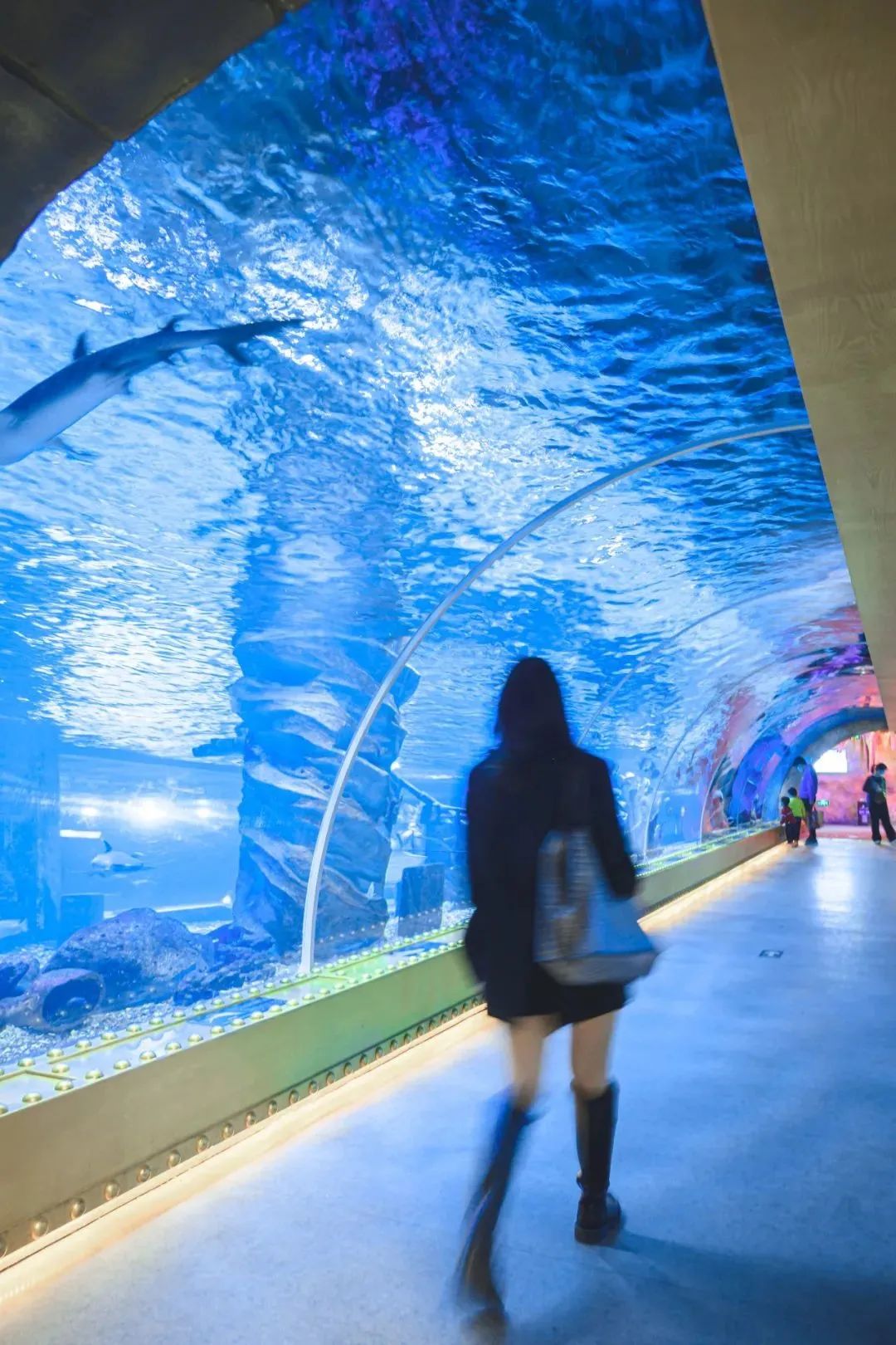 终于等到「东莞海立方」79双人票！10000+㎡上万种海底生物汇聚于此！