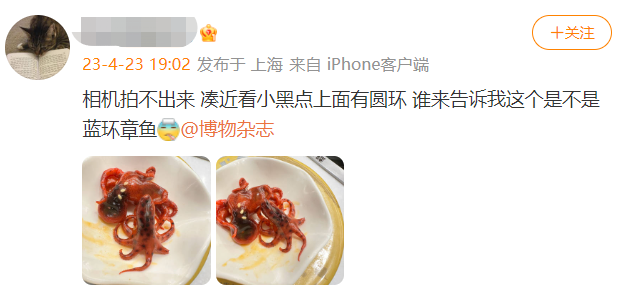 剧毒，没有解药！东莞人千万别吃！