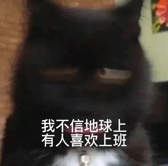 放假通知：5天！