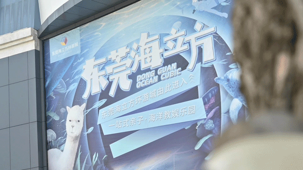 终于等到「东莞海立方」79双人票！10000+㎡上万种海底生物汇聚于此！