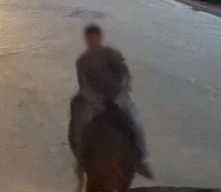东莞一男子在马路上骑马，直接撞上…