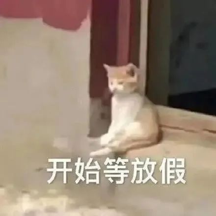 取消所有调休，这家公司火了！网友：太羡慕了