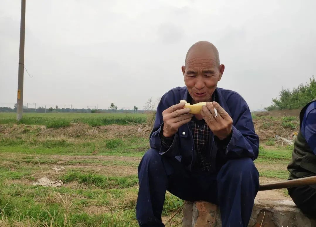 秒杀13.9/箱包邮！陕西阎良甜瓜甜蜜上市，18°蜜甜的阎良甜瓜，绵柔爽脆！甜爆了！