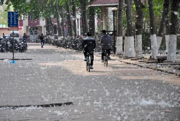 紧急提醒！东莞要“下雪”了！出门注意了！