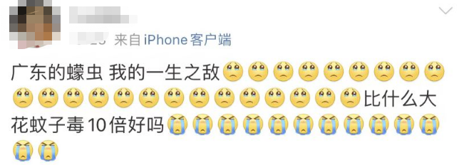 紧急提醒！东莞这种虫子比蚊子还毒，咬个包要痒几天几夜！