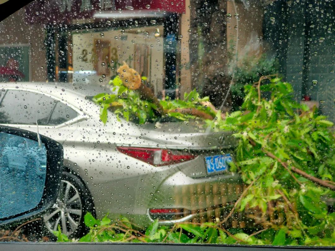 强对流杀到！暴雨+大风极端天气回归！东莞气温将跌到.....
