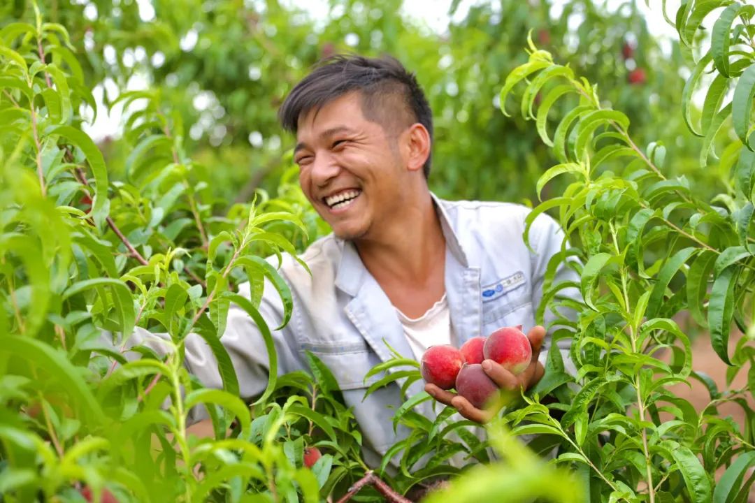 高山傈僳族特产！东莞人有没见过！