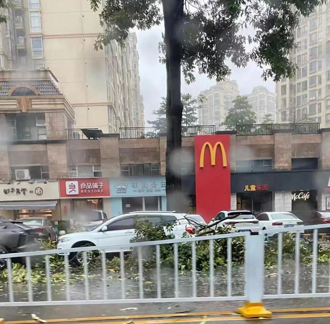 强对流杀到！暴雨+大风极端天气回归！东莞气温将跌到.....