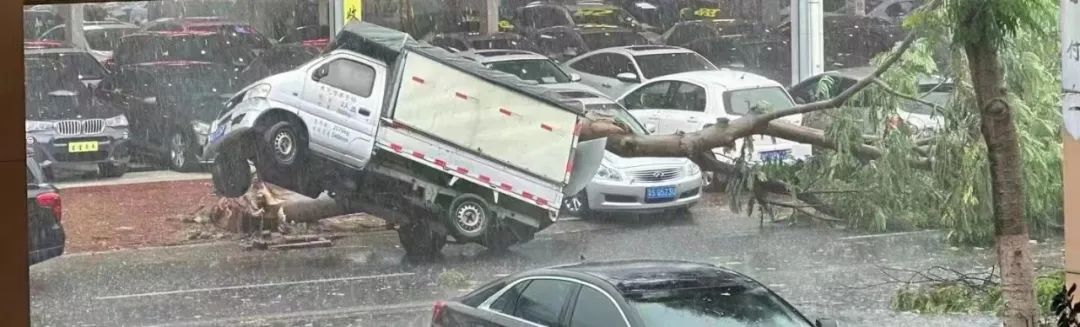 可怕! 树木倒塌、车辆被砸...！东莞突发10级狂风+暴雨+雷暴！