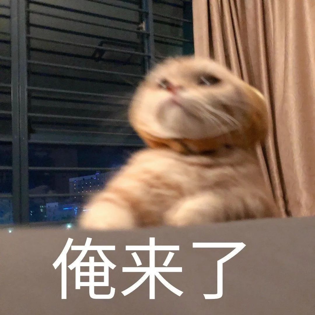 东莞人注意！今天起，全面恢复！