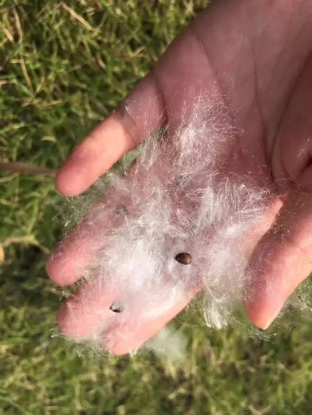 紧急提醒！东莞要“下雪”了！出门注意了！