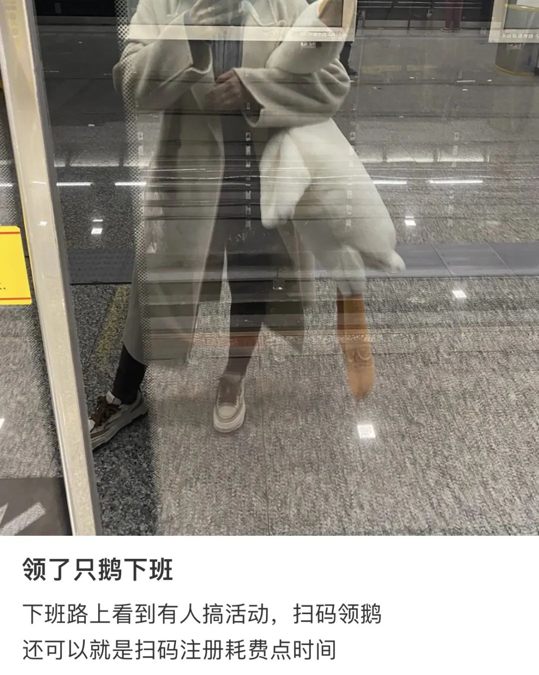 东莞街头惊现"扫码送大鹅"套路！小心上当受骗！