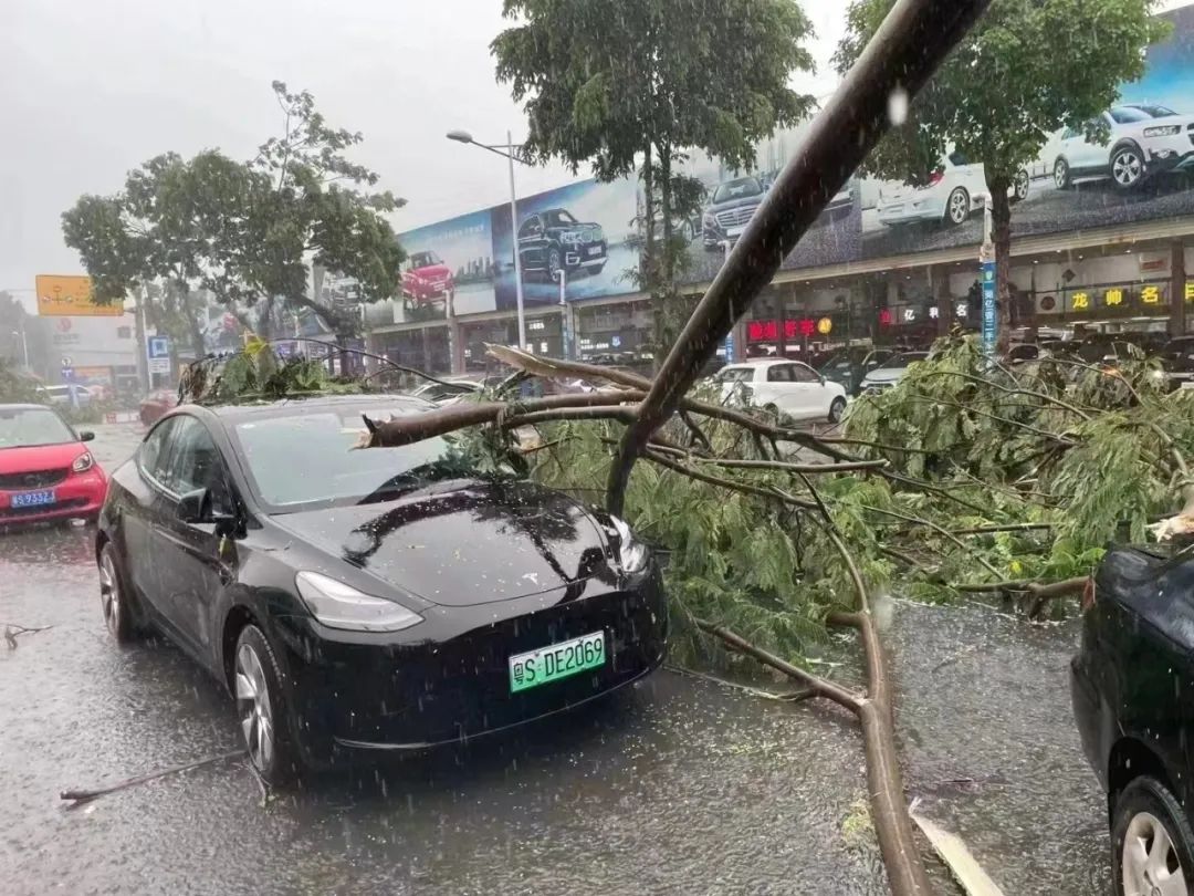 可怕! 树木倒塌、车辆被砸...！东莞突发10级狂风+暴雨+雷暴！