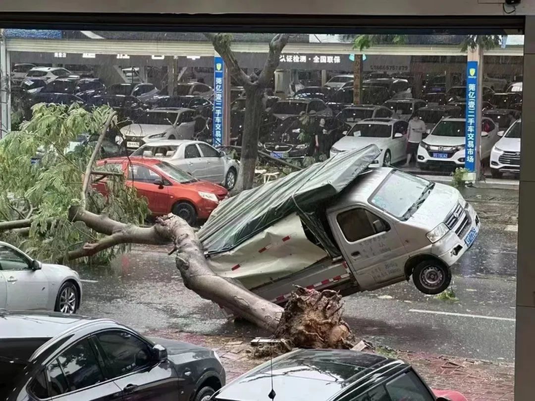 可怕! 树木倒塌、车辆被砸...！东莞突发10级狂风+暴雨+雷暴！