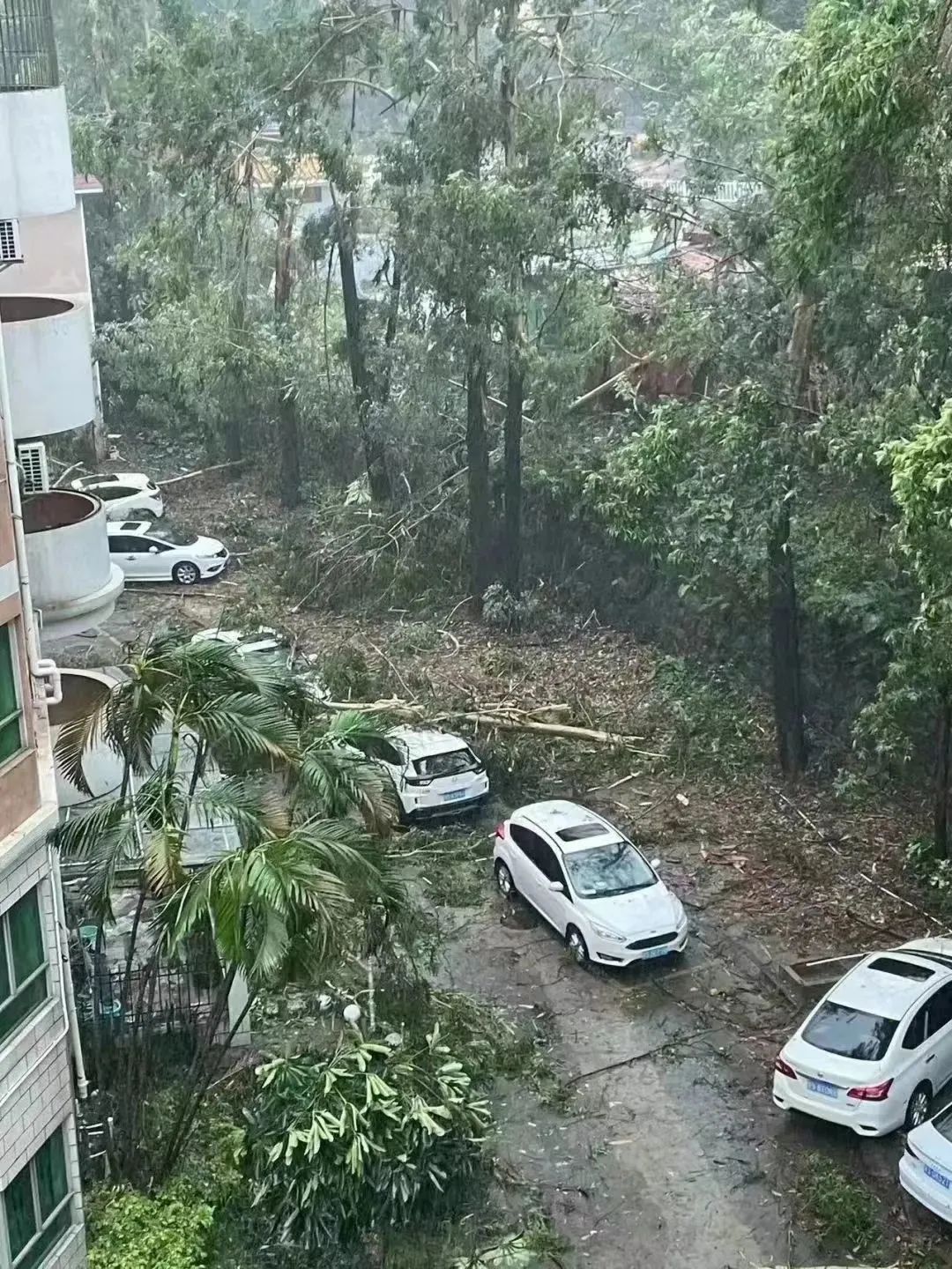 强对流杀到！暴雨+大风极端天气回归！东莞气温将跌到.....