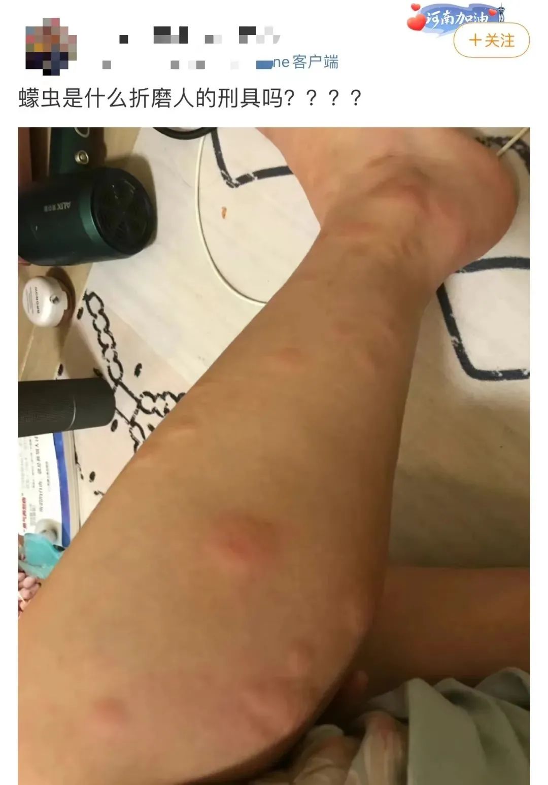 紧急提醒！东莞这种虫子比蚊子还毒，咬个包要痒几天几夜！