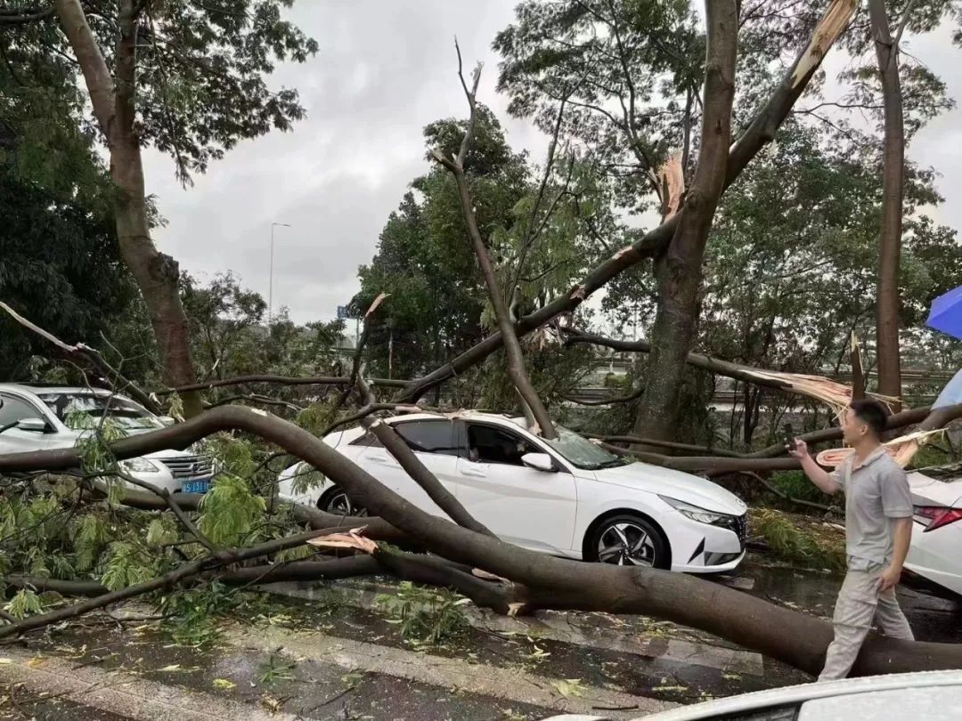 可怕! 树木倒塌、车辆被砸...！东莞突发10级狂风+暴雨+雷暴！