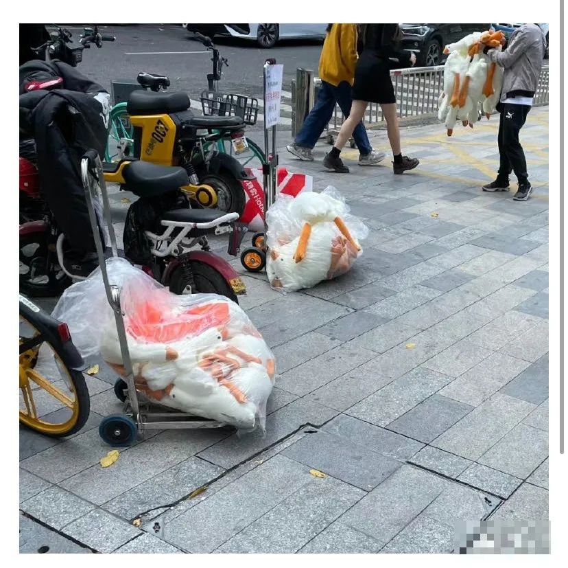 东莞街头惊现"扫码送大鹅"套路!小心上当受骗!
