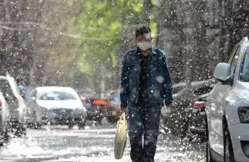 紧急提醒！东莞要“下雪”了！出门注意了！