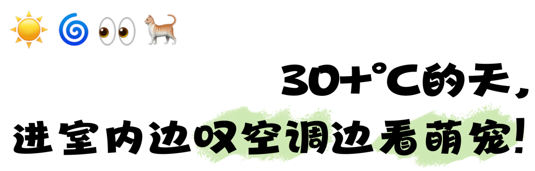 门票39/人！东莞有「室内动物园」了！3000㎡、800+种动物、0距离互动，爽！