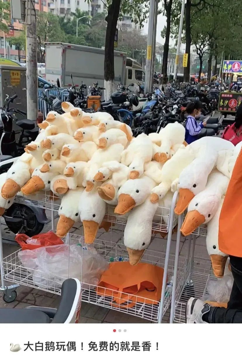 东莞街头惊现"扫码送大鹅"套路！小心上当受骗！