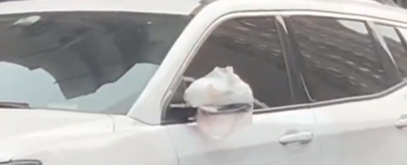 太过分！很多东莞人中招！东莞人怒发朋友圈：放过我吧！